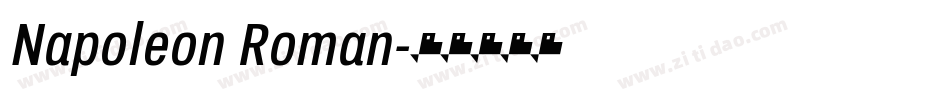 Napoleon Roman字体转换